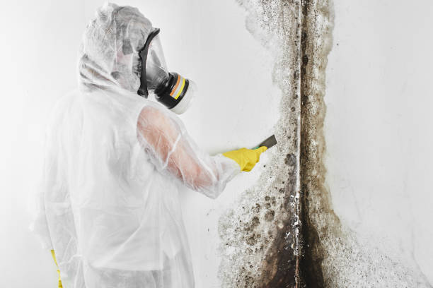 Best Crawl Space Mold Removal  in Highland, KS