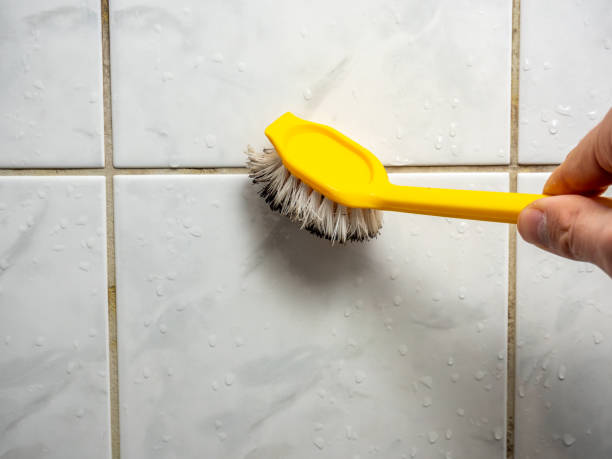Best Black Mold Removal  in Highland, KS