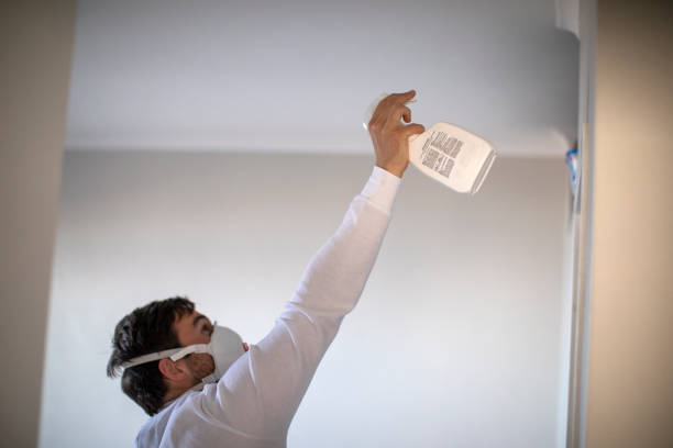 Best Fast Mold Removal  in Highland, KS