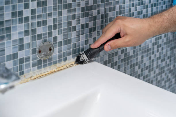 Best Best Mold Removal Companies  in Highland, KS