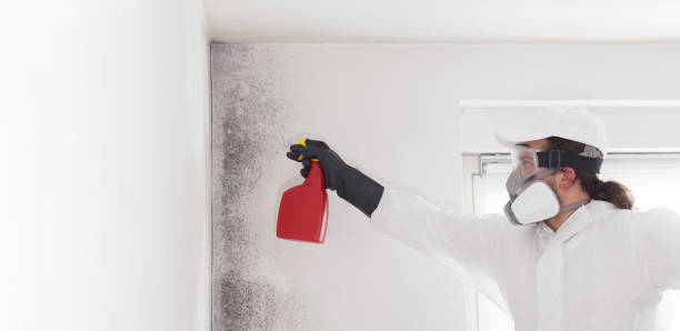 Mold Testing and Removal in Highland, KS