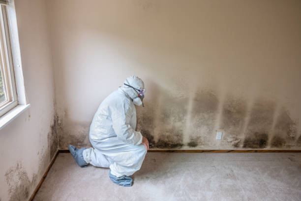 Best Mold Testing  in Highland, KS