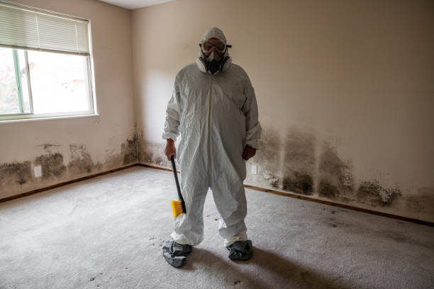 Best Mold Remediation  in Highland, KS
